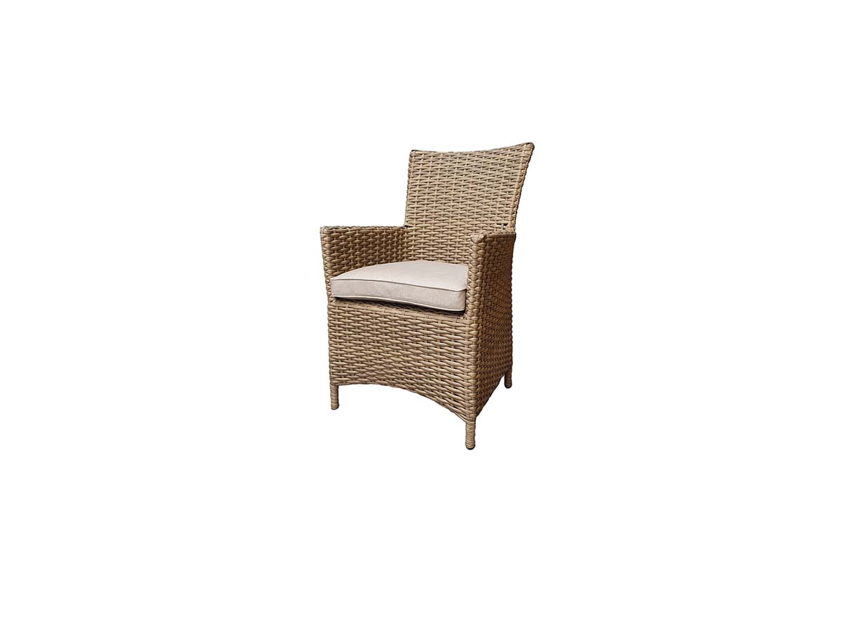 1 TABLE + 6 HIGH BACK DINING CHAIR